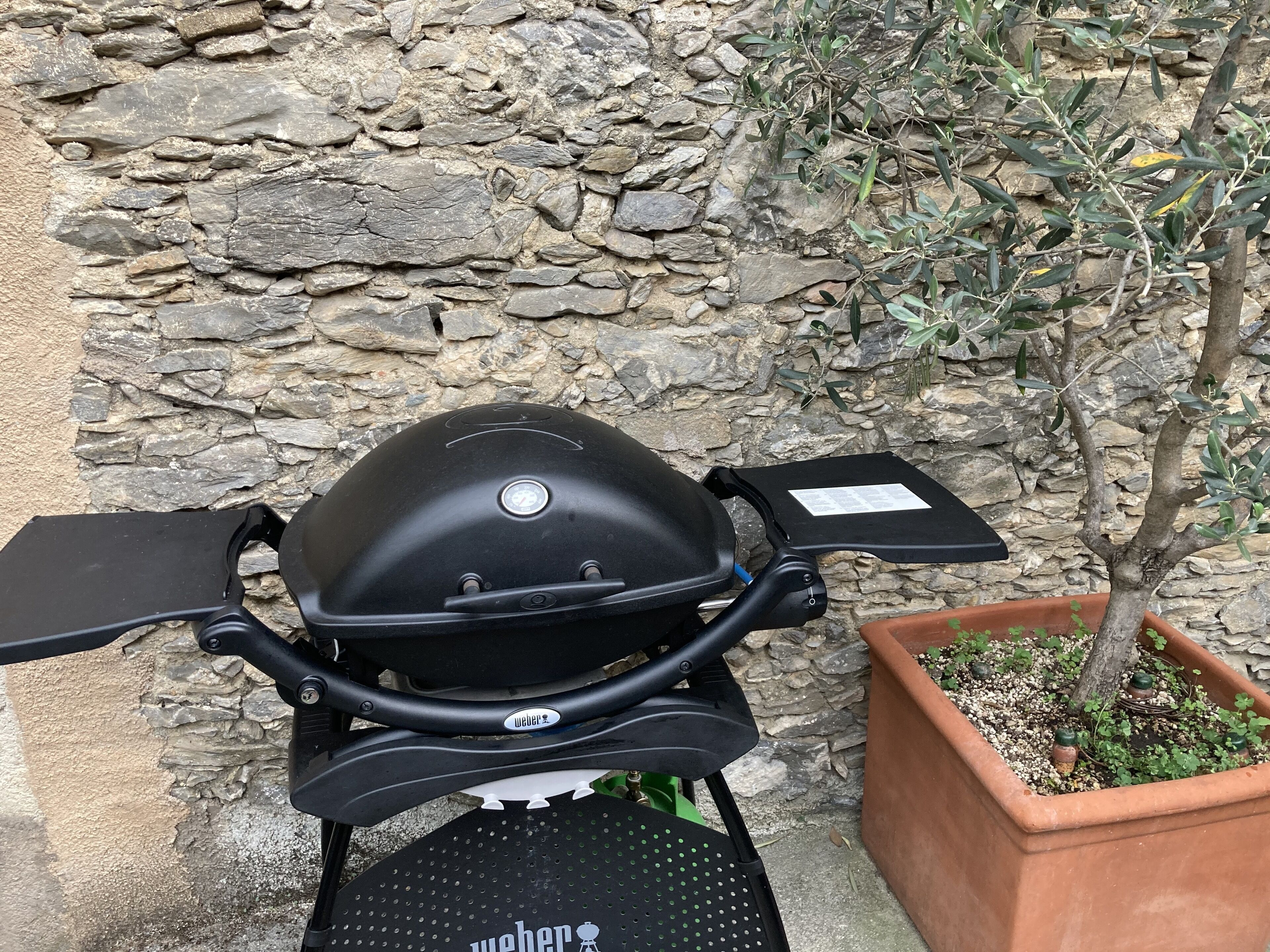 A portable Weber grill with a digital thermometer, placed against a stone wall with a potted plant nearby.