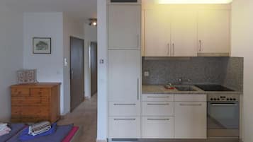 Appartamento (Cleaning Fee 80 CHF) | Cucina privata | Bollitore elettrico, pentole/stoviglie/utensili