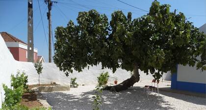 Casa da Figueira