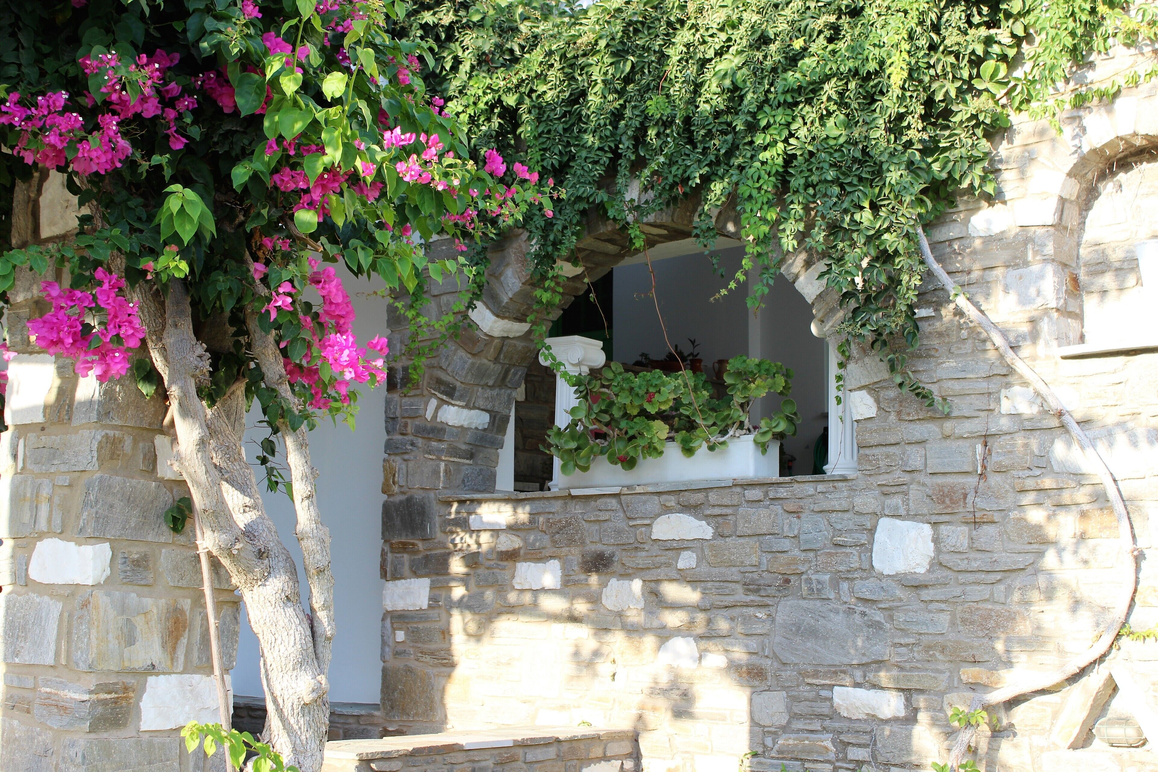 Photo - Elena Studios & Apartments