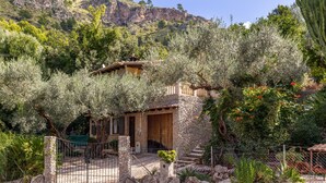 A stone house with a wooden door, surrounded by olive trees and a stone fence.