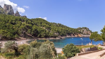 Playa en los alrededores