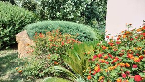 A garden with various plants and flowers, a large rock, and a building in the background. - Alghero magnificent villa Laurus with pool in Valverde 122 D (Alghero)