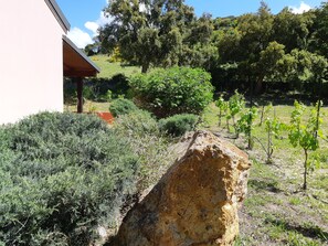Property grounds - Alghero magnificent villa Laurus with pool in Valverde 122 D (Alghero)