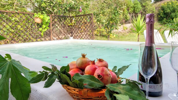 A poolside setting with a basket of pomegranates, a bottle of Seiu wine, and a glass of wine. - Alghero magnificent villa Laurus with pool in Valverde 122 D (Alghero)
