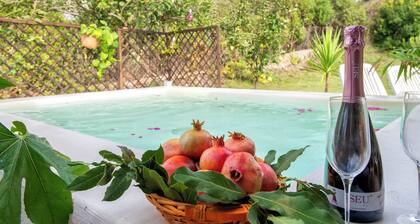 Alghero magnificent villa Laurus with pool in Valverde 122 D