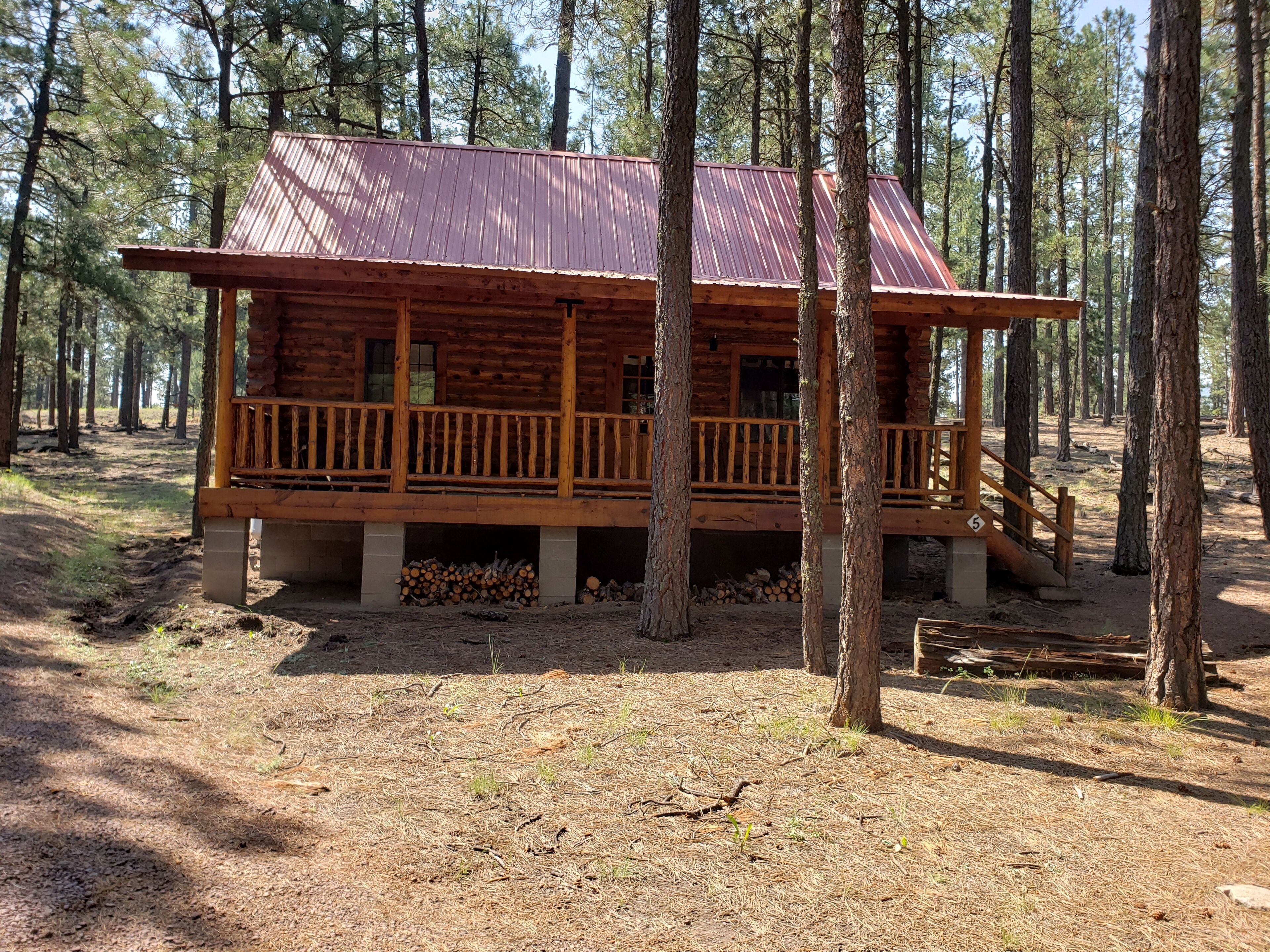 A wooden cabin with a metal roof, surrounded by trees.