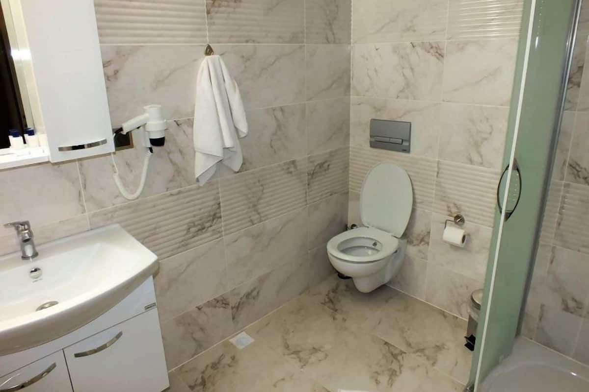 Une salle de bain avec un lavabo, des toilettes et une douche.