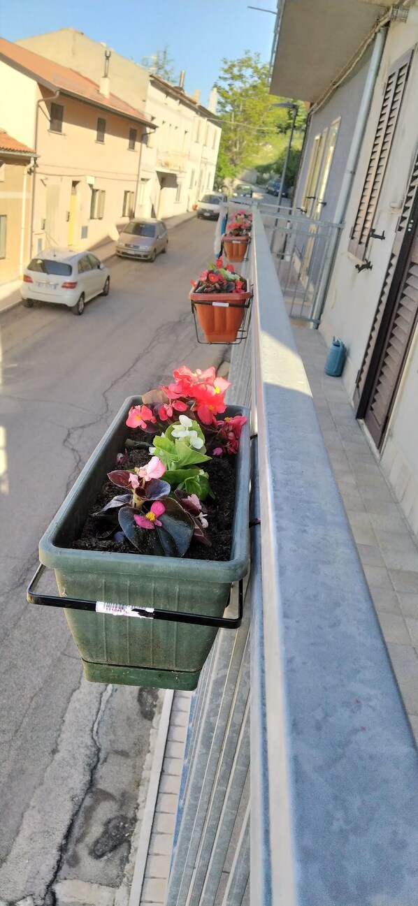 Property grounds - Domus Giuseppe in the enchanted country (Guardiabruna)