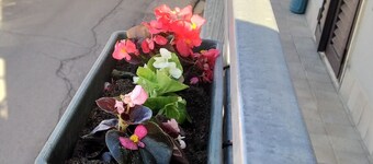 Domus Giuseppe in the enchanted country