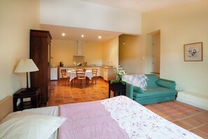 14 bedrooms, desk, iron/ironing board, free WiFi - Beautiful country house with swimming pool facing the Colorado Provençal (Rustrel)