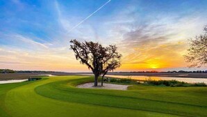 Ein Golfplatz mit einem Baum in der Mitte, umgeben von Sandbunkern und einem Wasserhindernis.