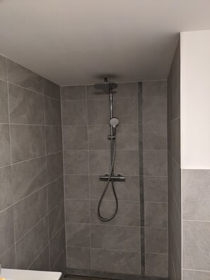Ducha, secador de pelo, toallas y papel higiénico