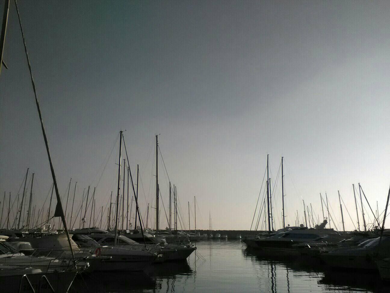 A marina with multiple boats docked in calm waters.