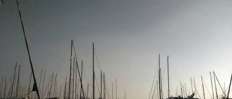 A marina with multiple boats docked in calm waters.