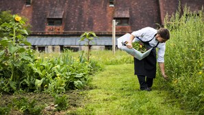 A person harvesting flowers in a garden with a brick building in the background. - Gut Sonnenhausen (Glonn)