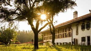 A building with a large tree in front, a balcony, and a fence. - Gut Sonnenhausen (Glonn)