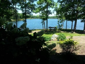 Property grounds - #712: Trout Hill Condo at Fall Creek Falls (Pikeville)