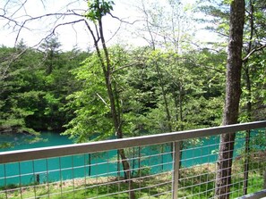 Condo, 2 Queen Beds, Balcony | Balcony - #721: Trout Hill Condo at Fall Creek Falls (Pikeville)