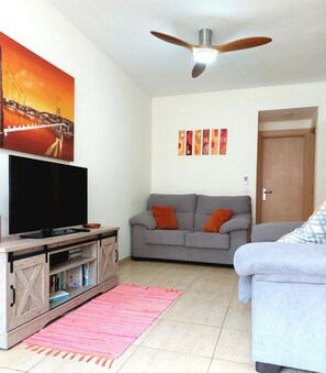 Smart TV, Netflix, reproductor de DVD y libros 