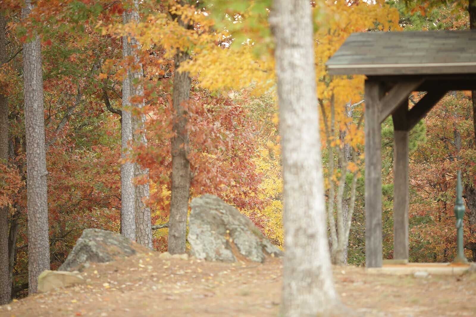 A wooden pavilion in a forest with autumn foliage.