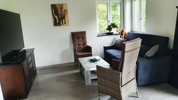 Fernseher, DVD-Player, Tischtennisplatte