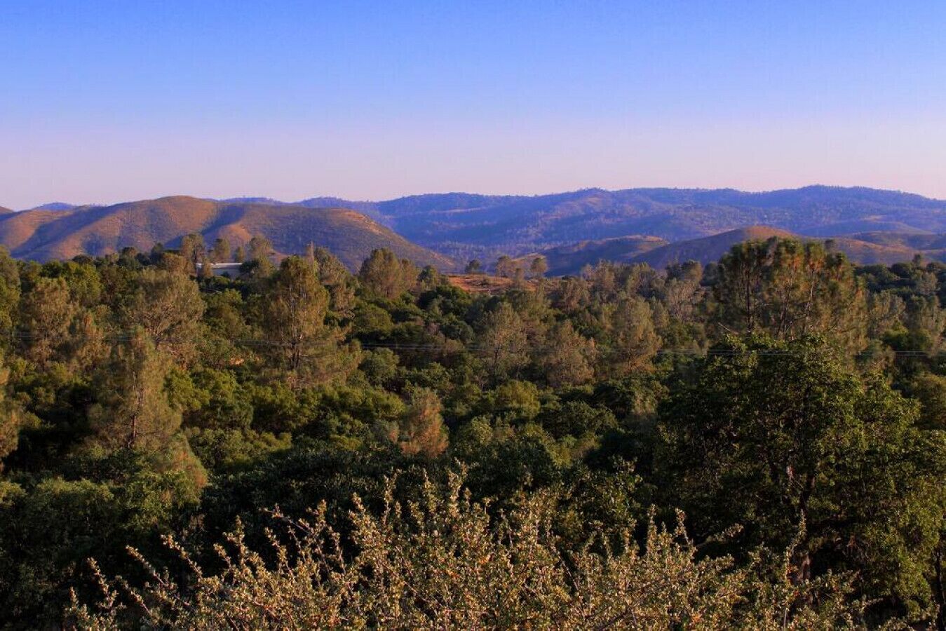Paesaggio montuoso con fitta foresta e colline sullo sfondo.