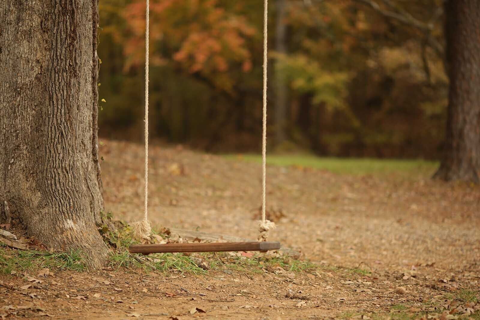 A swing set in a park with trees and a dirt ground.
