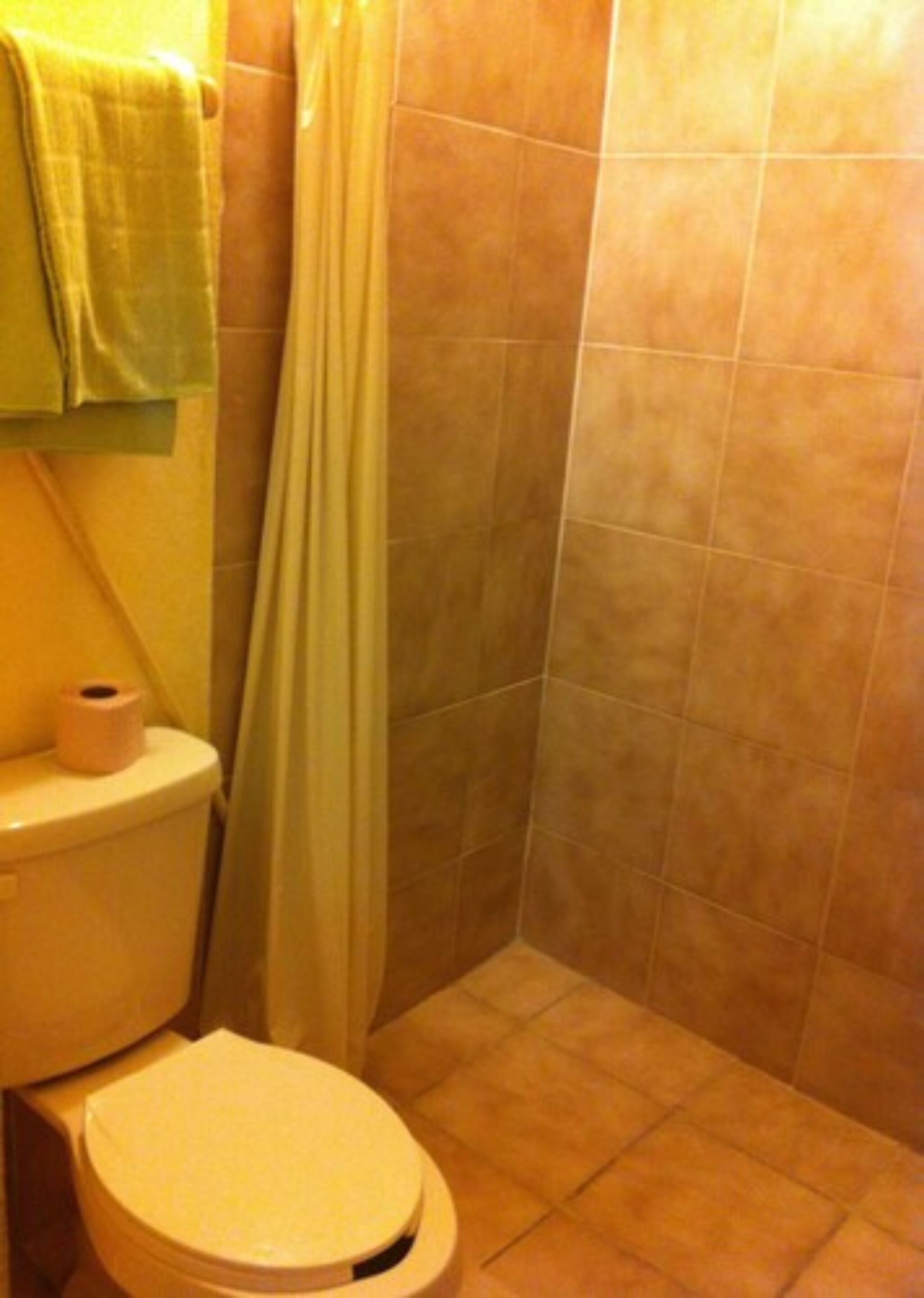 A bathroom with a toilet, a roll of toilet paper, a shower curtain, and tiled walls.