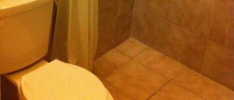 A bathroom with a toilet, a roll of toilet paper, a shower curtain, and tiled walls.