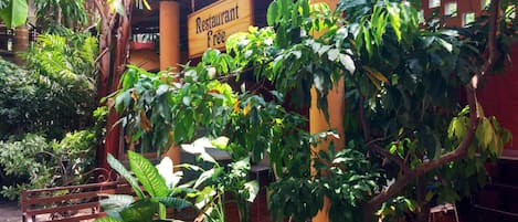 Enceinte de l’hébergement