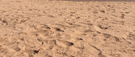 In Strandnähe