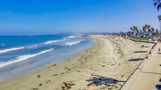 Una amplia playa de arena con olas del océano, cielo despejado y palmeras a lo largo de la orilla.