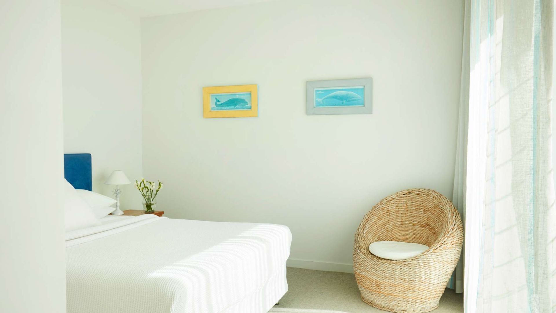 Whale Beach Hideaway by Contemporary Hotels — image 20