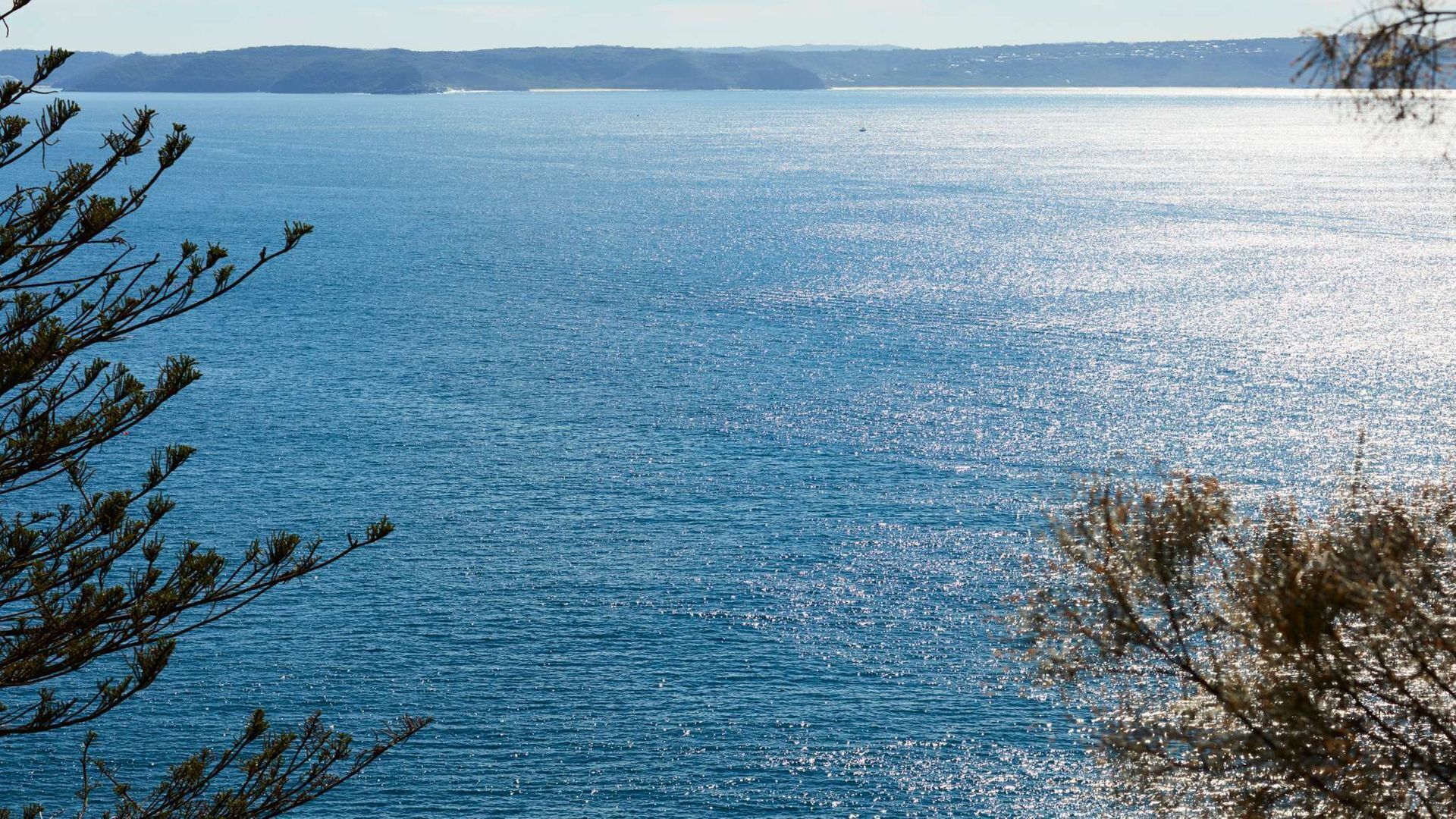 Whale Beach Hideaway by Contemporary Hotels — image 30