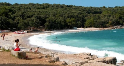 Villa ***** with swimming pool, summer kitchen, WiFi, barbecue