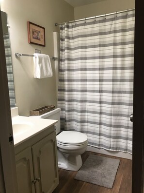 Combined shower/bathtub, hair dryer, towels, soap - Family condo, walk to ski area, private fishing pond and playground (Red River)