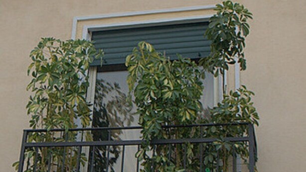 A building with a balcony, potted plants, and a door. - Villa Camilla Guest House - Appartamento 1 (Reggio Calabria)