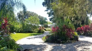 Un chemin de jardin pavé, bordé d’une végétation luxuriante et de plantes en fleurs.
