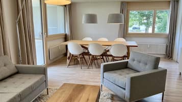 Télévision, cheminée, lecteur de DVD