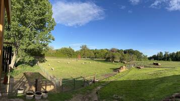 Áreas de la propiedad