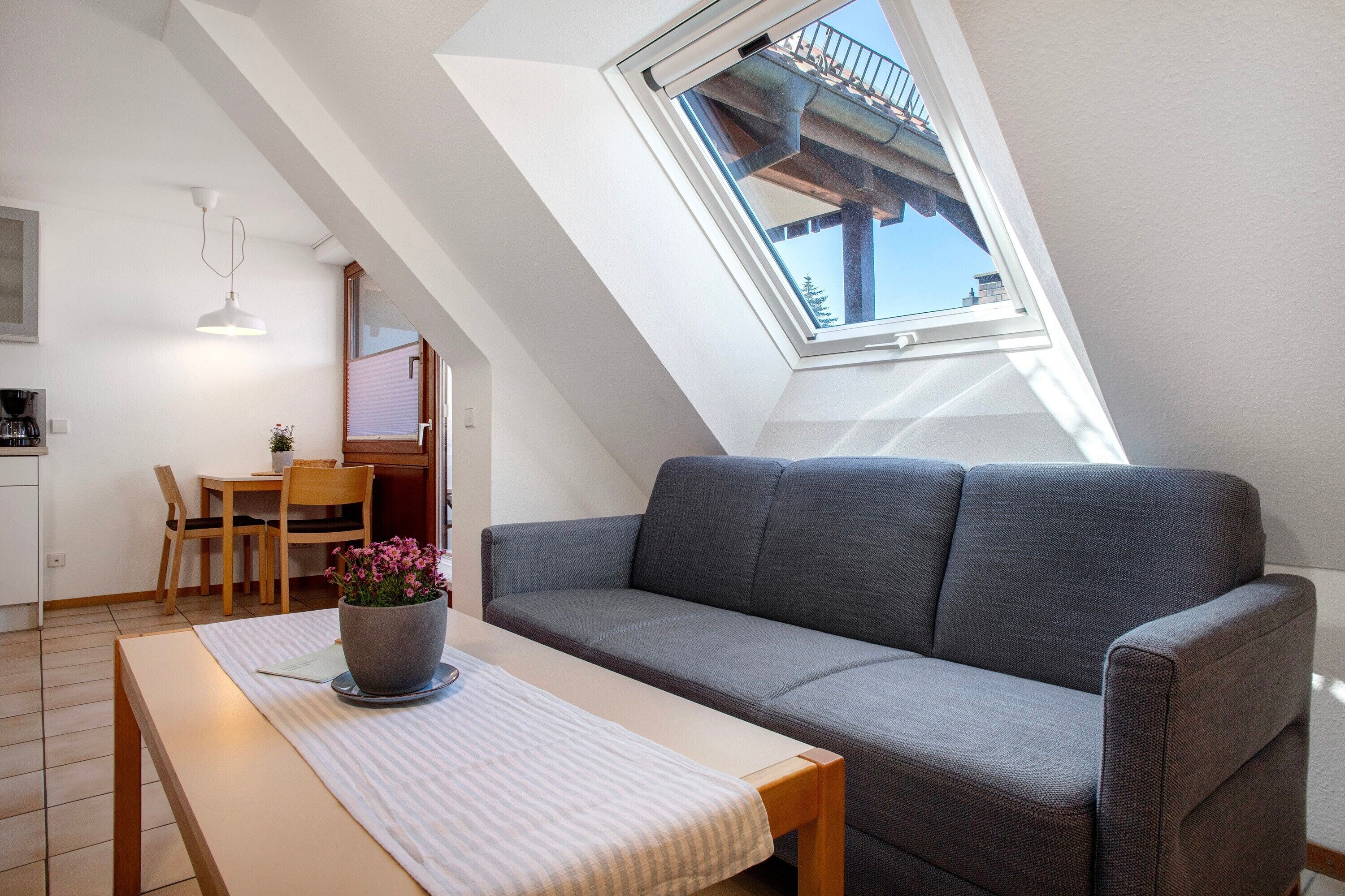 Televisión, mesa de ping pong, estéreo