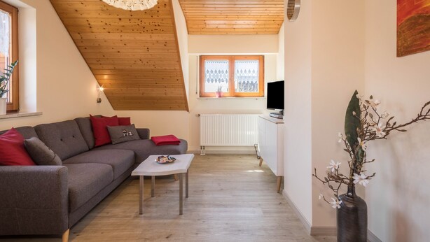 Un salon moderne avec un plafond en pente, un canapé, une table basse, un téléviseur et un vase décoratif.