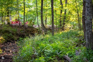 Une forêt dans laquelle on aperçoit un véhicule rouge, en partie dissimulé par les arbres.