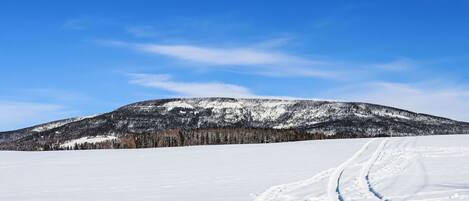 A snowy landscape with a clear sky and a mountain in the background.