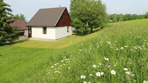 A single-story house with a sloped roof, a small porch, and a grassy field with daisies in the foreground. - Wonderful private villa for 6 people with WIFI, pool, TV, terrace and pets allowed (Dvur Králové Nad Labem)
