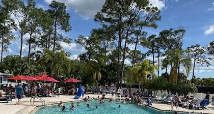 Beautiful Park