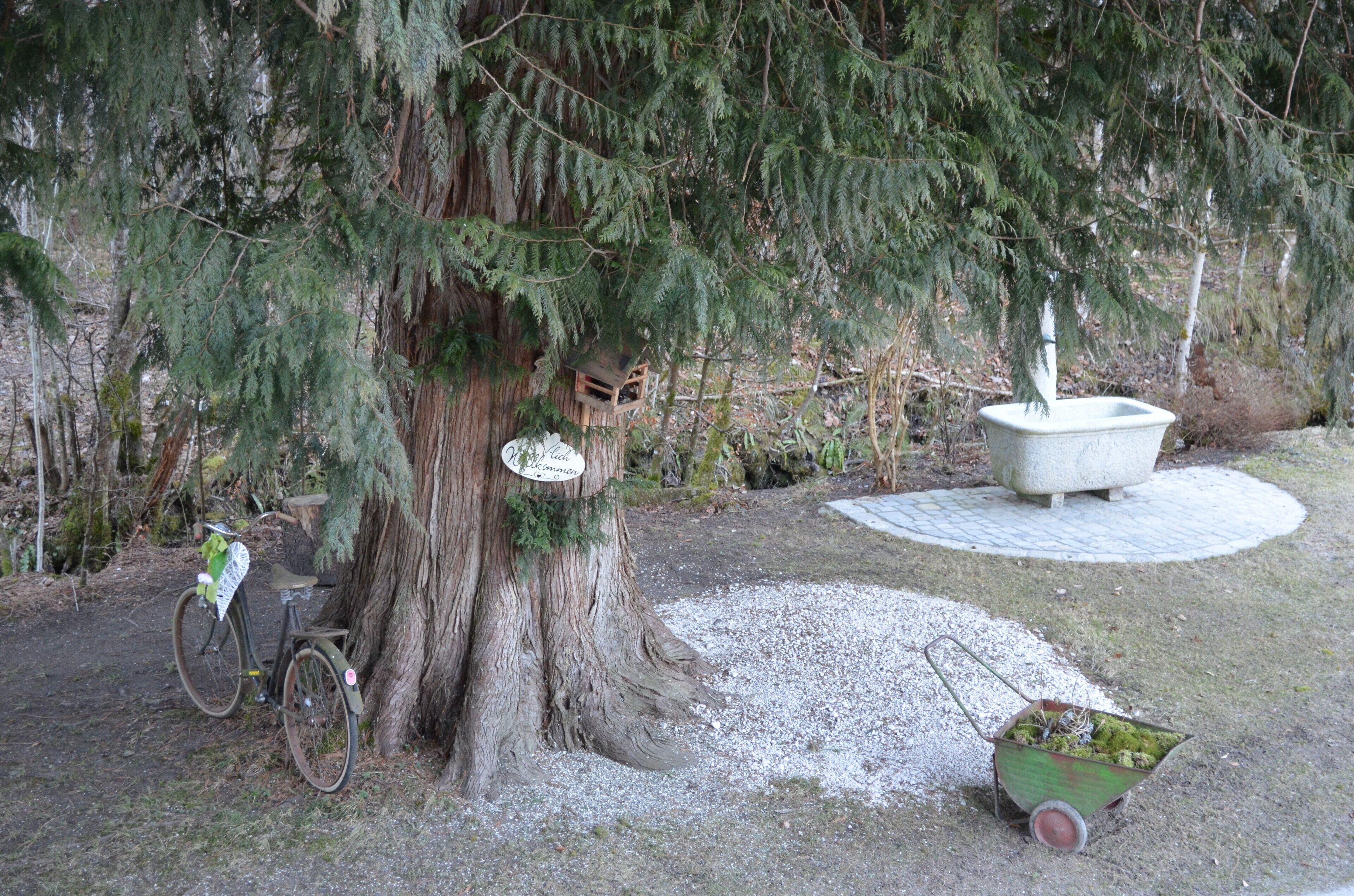 Enceinte de l’hébergement