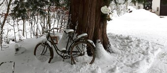 Ferienwohnung Landhaus Maria-Anna
