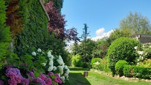 Ein Gartenpfad mit Steinbelag, umgeben von üppigem Grün und blühenden Pflanzen.
